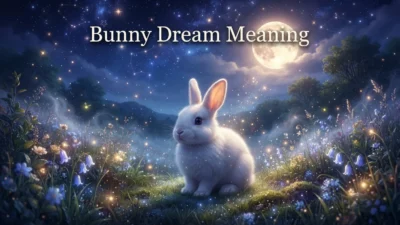 Bunny Dream Meaning