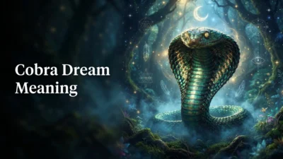 Cobra Dream Meaning